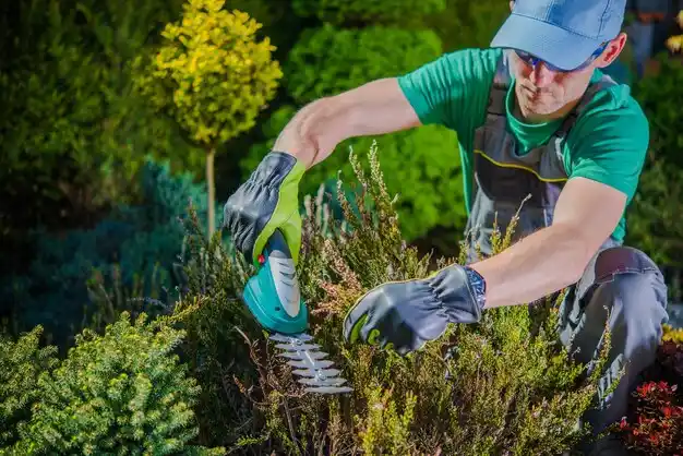 landscaping services Rocky River